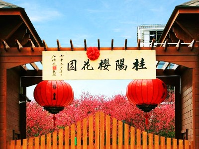 桂阳-樱花园规划