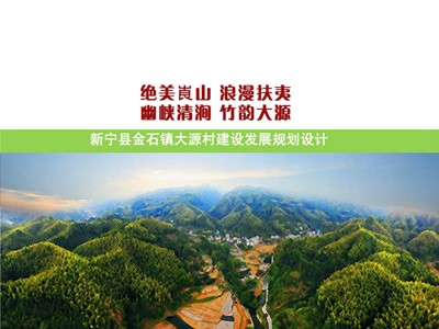 新宁县大源村村庄建设发展规划